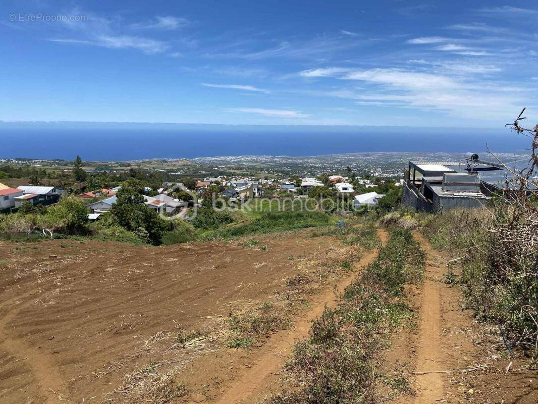 Terrain à LE TAMPON