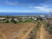 Terrain à LE TAMPON