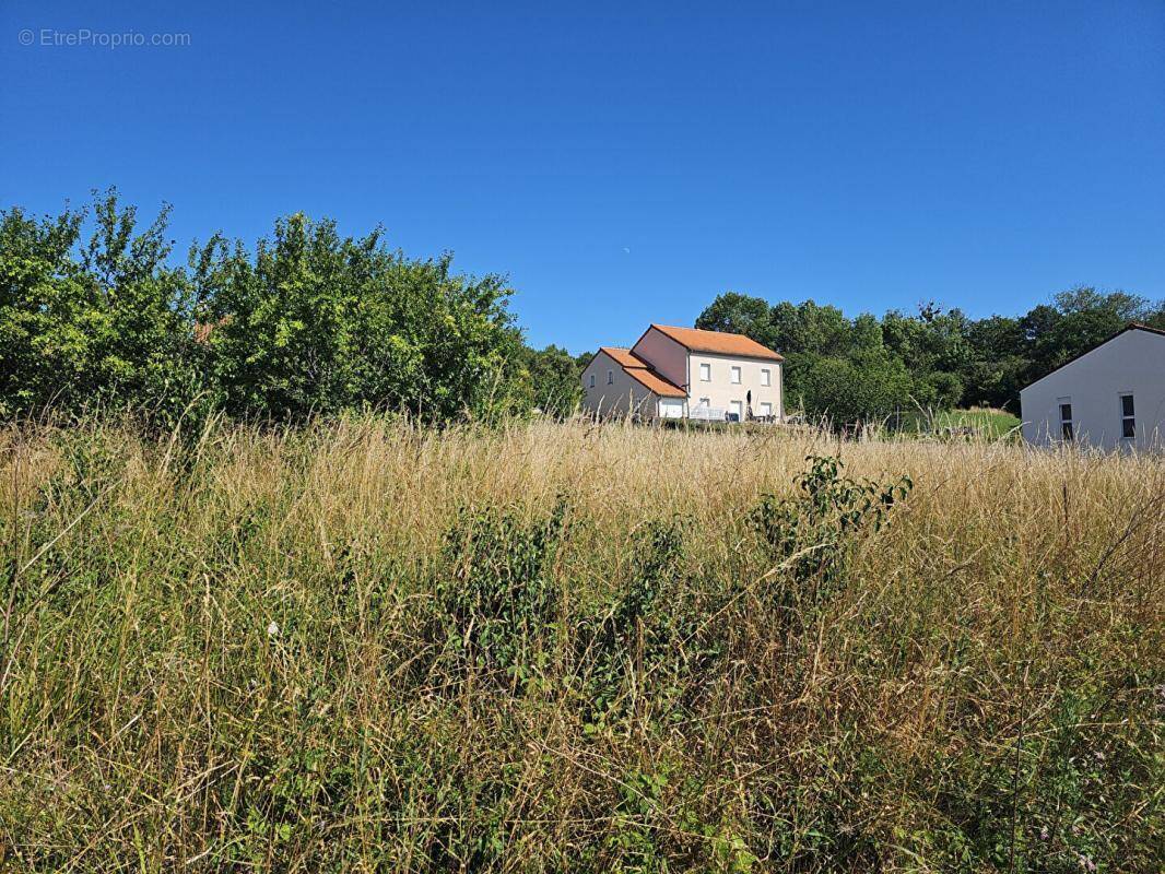 Terrain à ARRY