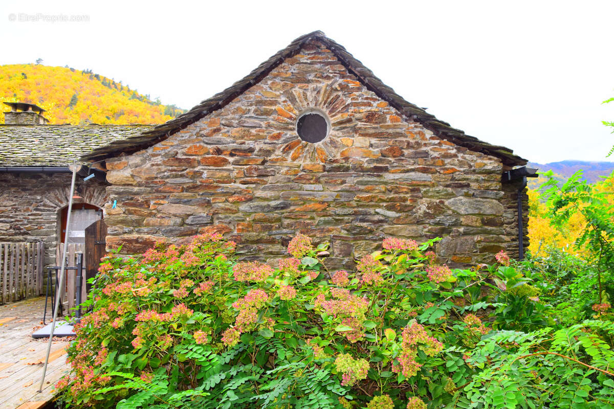 Maison à SAINT-PRIVAT-DE-VALLONGUE