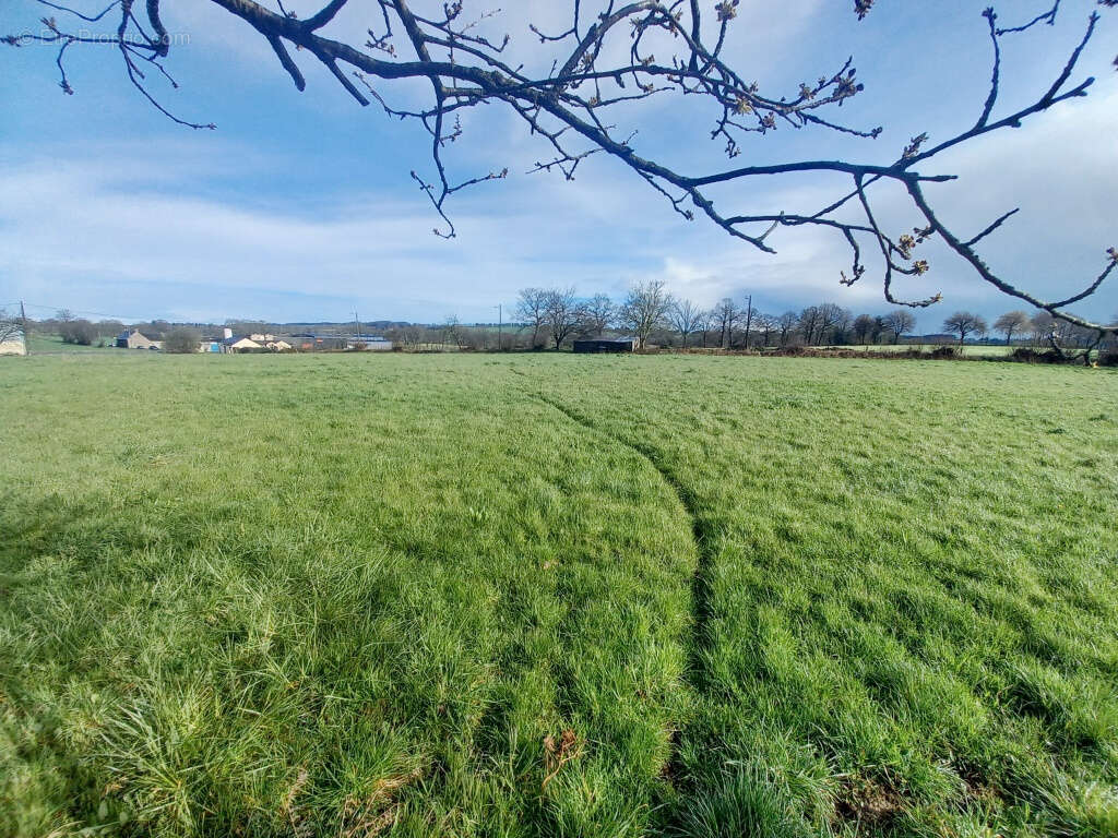 Terrain à SAINT-PIERRE-DES-LANDES