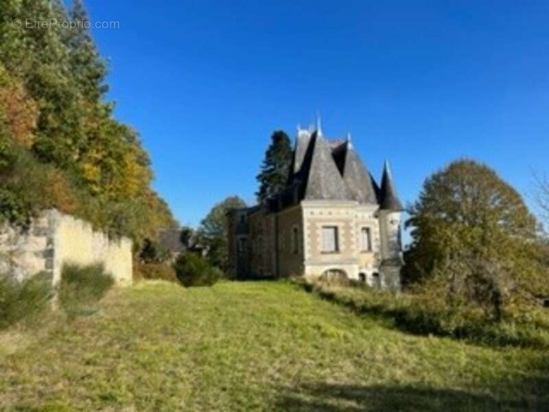 Sublime château édifié au XVI°et remanié au XIX° surblomblant la vallée de la Loire entre Amboise et Tours - photo 5