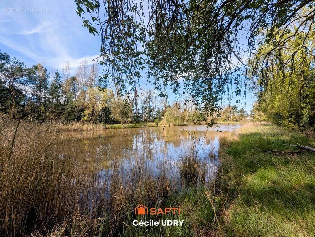 Photo 1 - Terrain à ATHEE-SUR-CHER