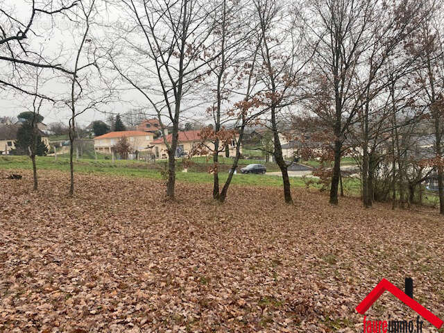 Terrain à LA FEUILLADE