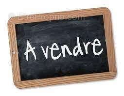 Commerce à POINTE-A-PITRE