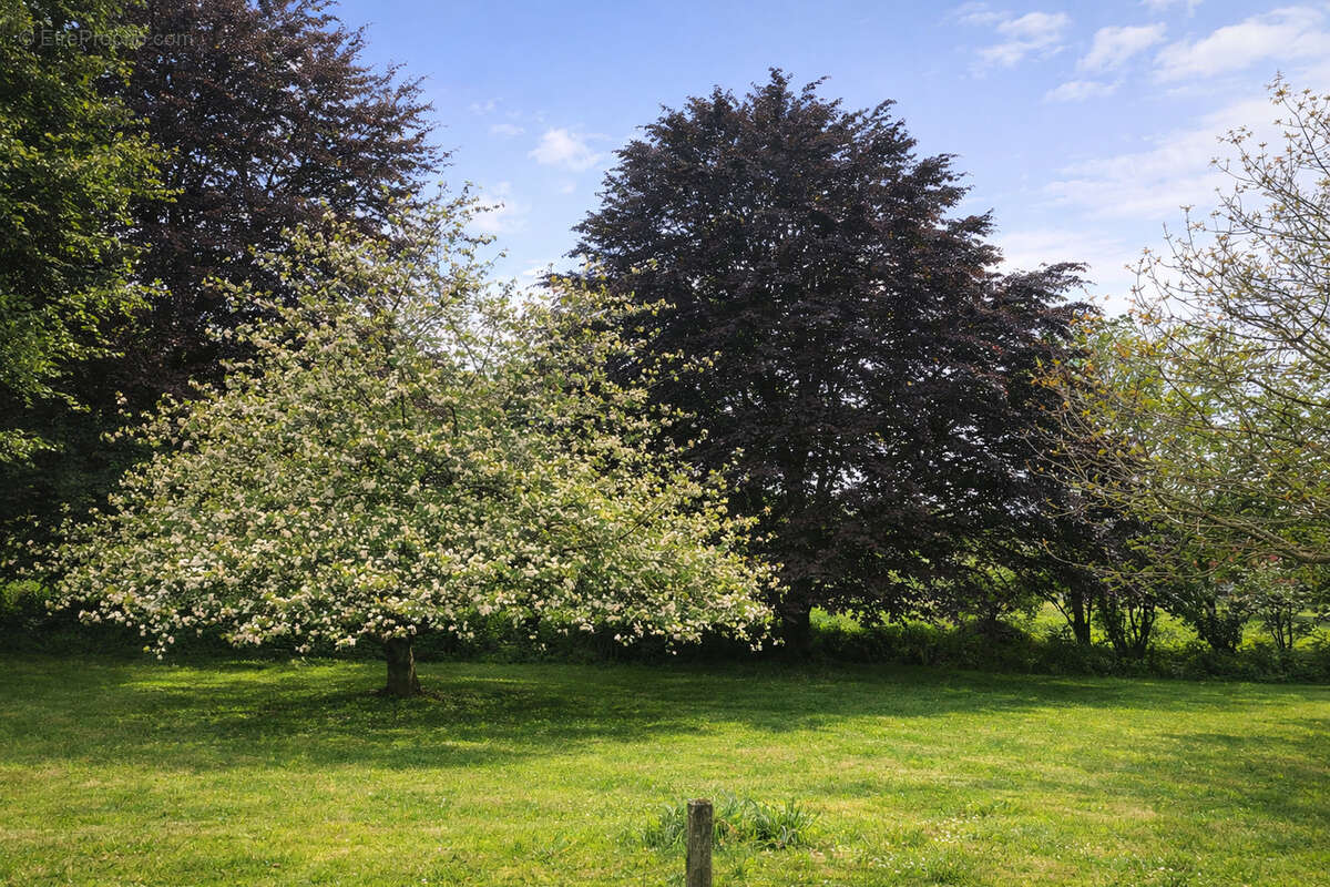 Maison à LARCEVEAU-ARROS-CIBITS