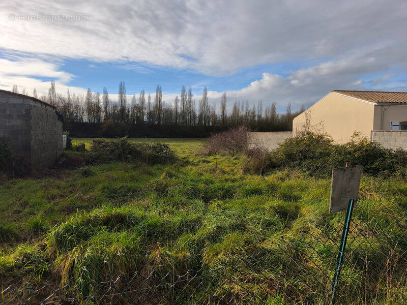 Terrain à LA LAIGNE