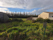 Terrain à LA LAIGNE