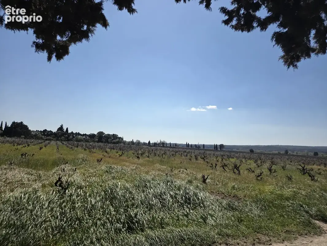 Coup de cœur à Sainte-Cécile-les-Vignes, villa de 90 m2 sur 800 m2 de terrain avec vue dégagée. - photo 2