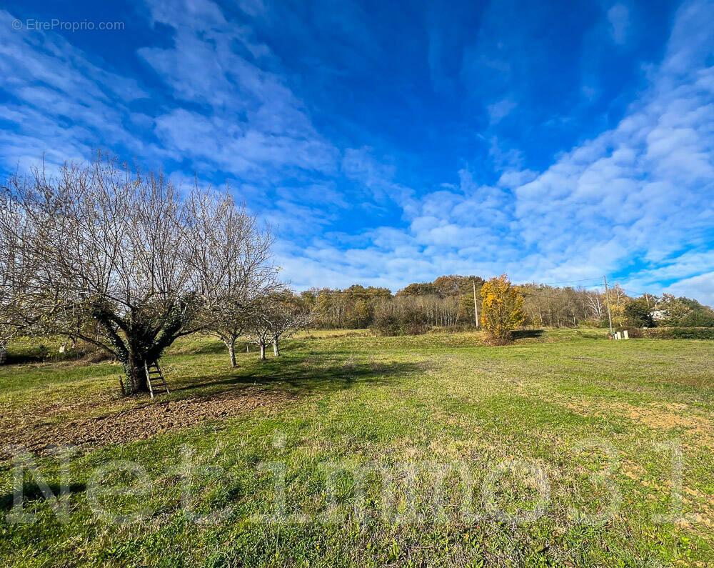Terrain à PUYLAURENS