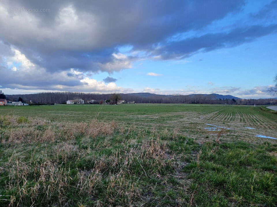 Terrain à LES ISSARDS