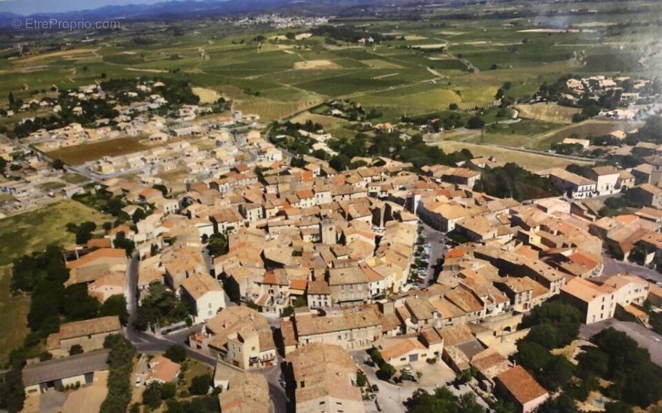 Terrain à ALIGNAN-DU-VENT