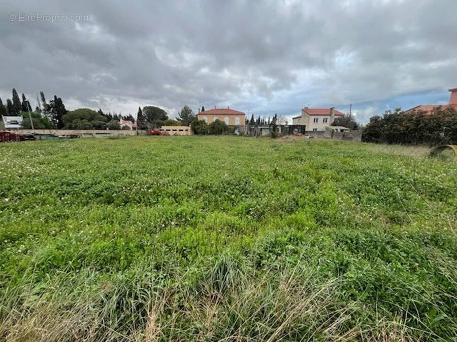Terrain à RIVESALTES