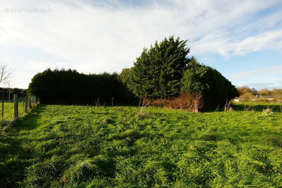 Terrain à SECQUEVILLE-EN-BESSIN