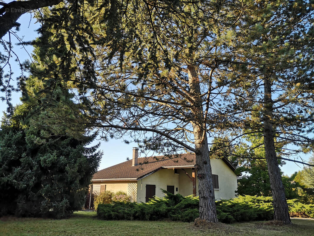 Maison à GONDREVILLE