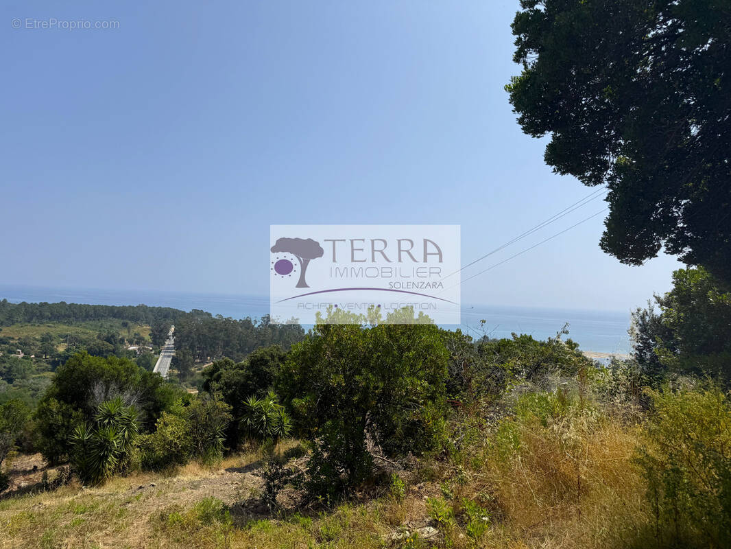 Terrain à SARI-SOLENZARA