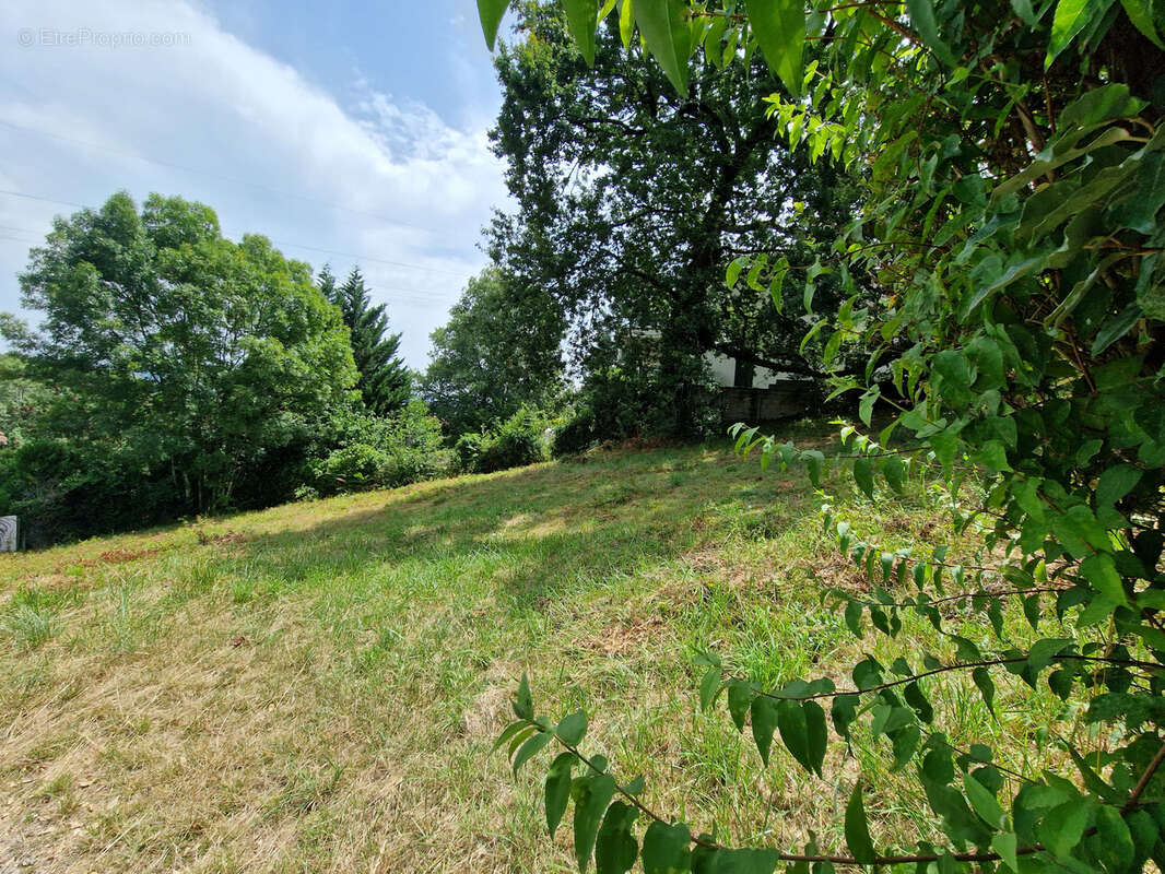 Terrain à MALEMORT-SUR-CORREZE