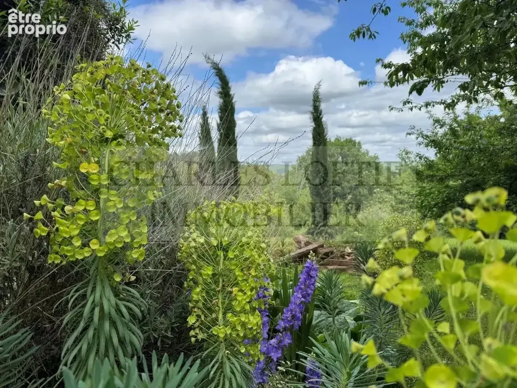 Charmante maison de village en pierre avec terrain arboré de 2400 m² - photo 18