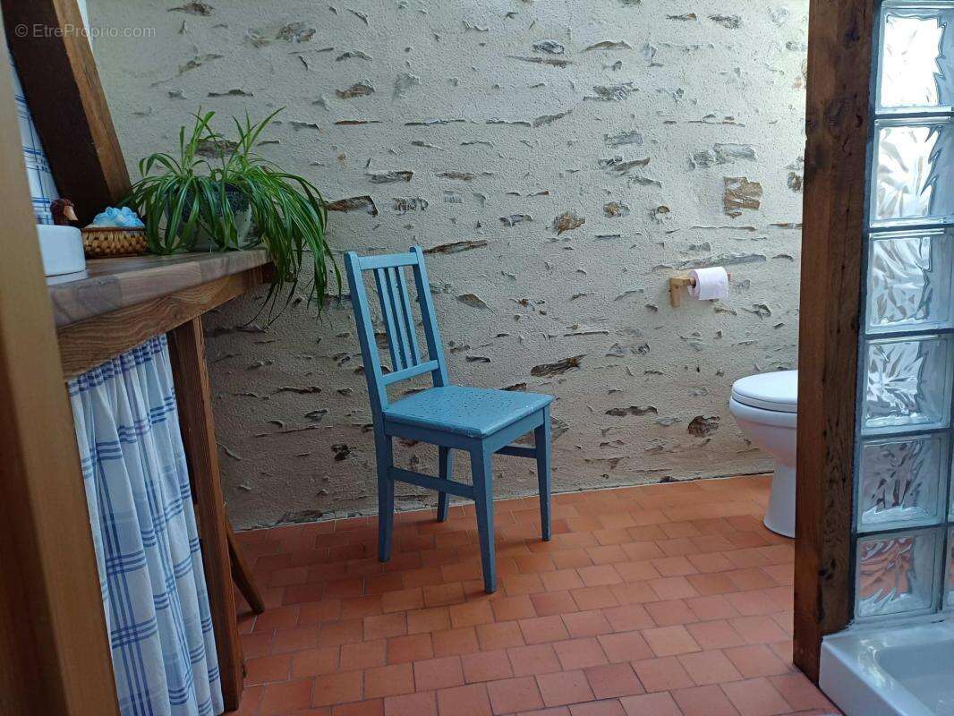 Havre de paix a la campagne : maison de charme, gite avec piscine - photo 7