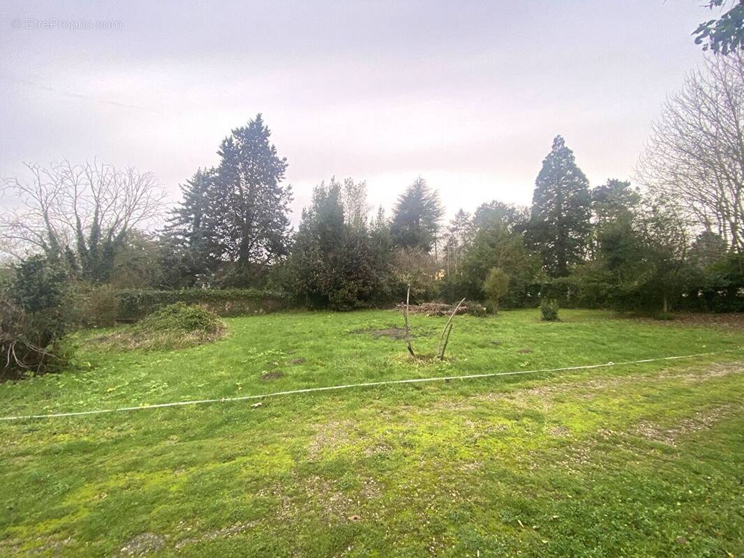 Terrain à JAMBVILLE