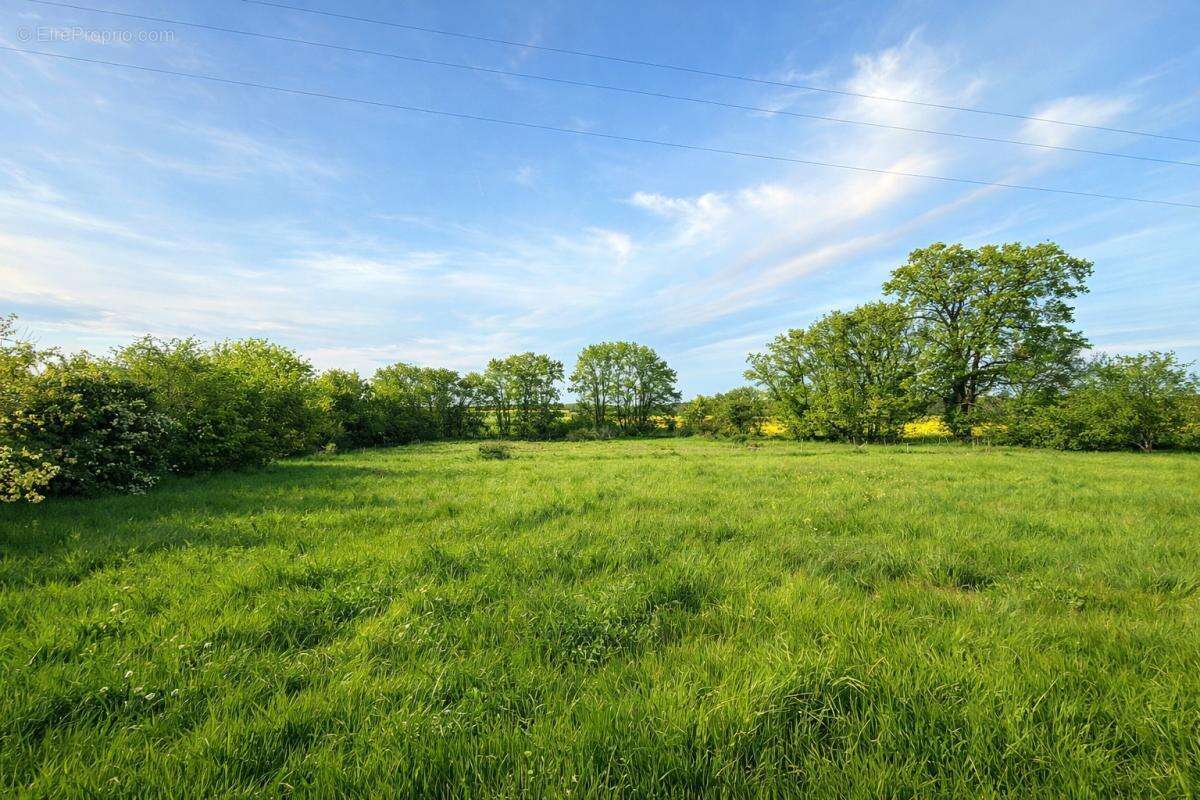 Maison à SAUZE-VAUSSAIS