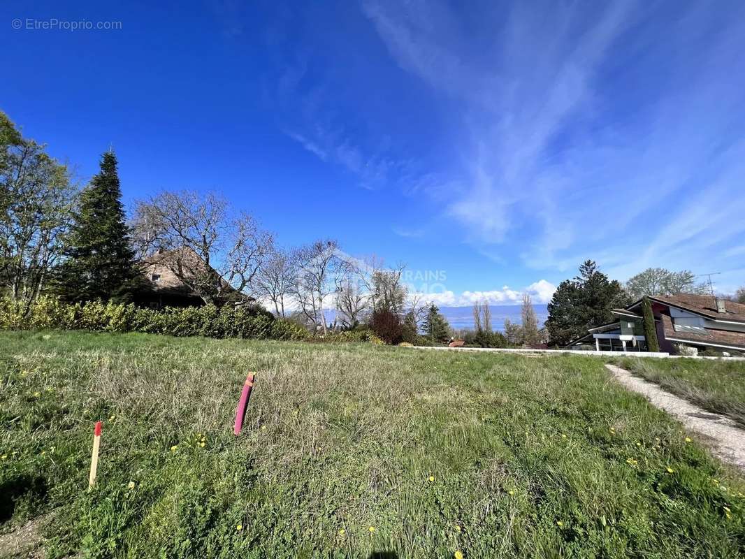 Terrain à ANTHY-SUR-LEMAN