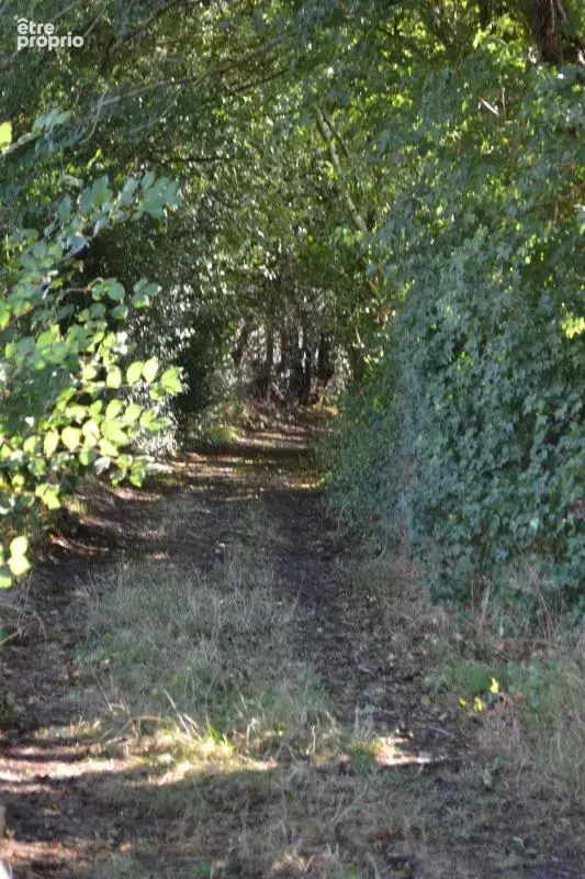 Maison de campagne sur 3ha à bâtir (27) - photo 39