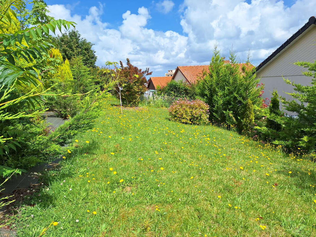 Maison à LE TREPORT