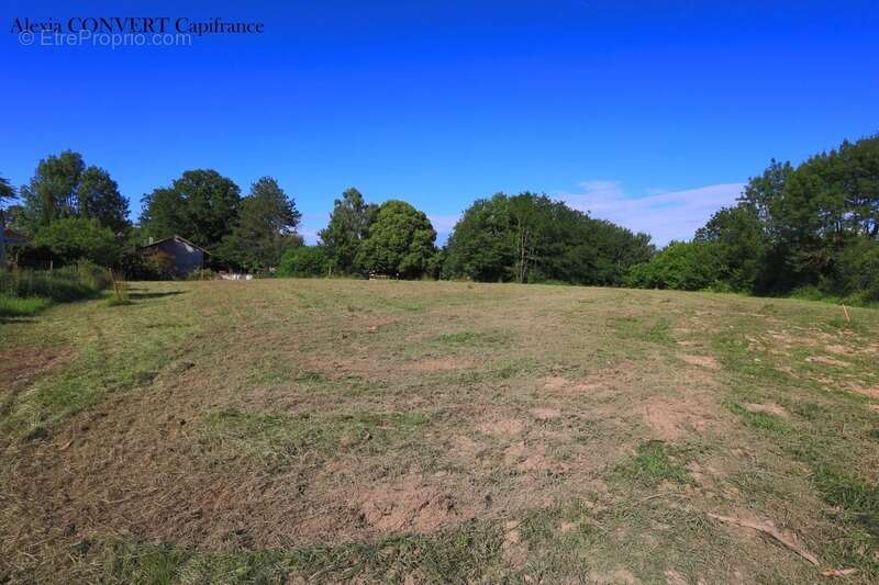 Terrain à vendre 790m² hors lotissement proche centre village  FOISSIAT (01) - photo 2