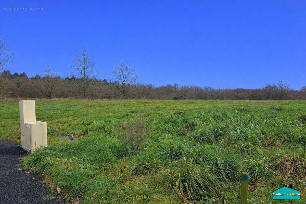 Terrain viabilisé à La Marne de 913  à 984 m2 - photo 3