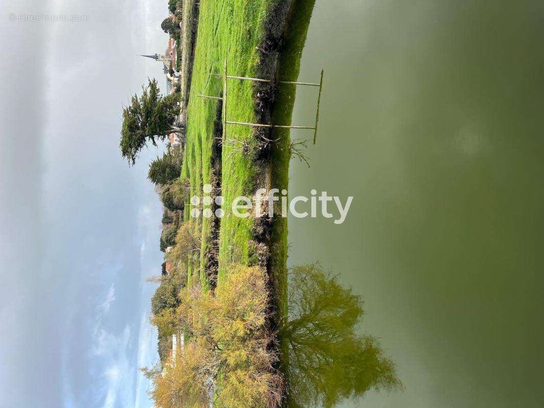 Terrain à L&#039;ILE-D&#039;OLONNE