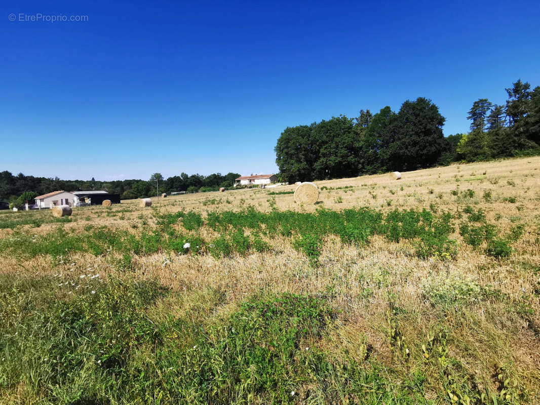 IMG_20220803_105404 - Terrain à VARAIGNES