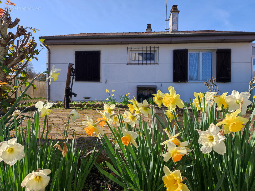 Maison à GALLARDON