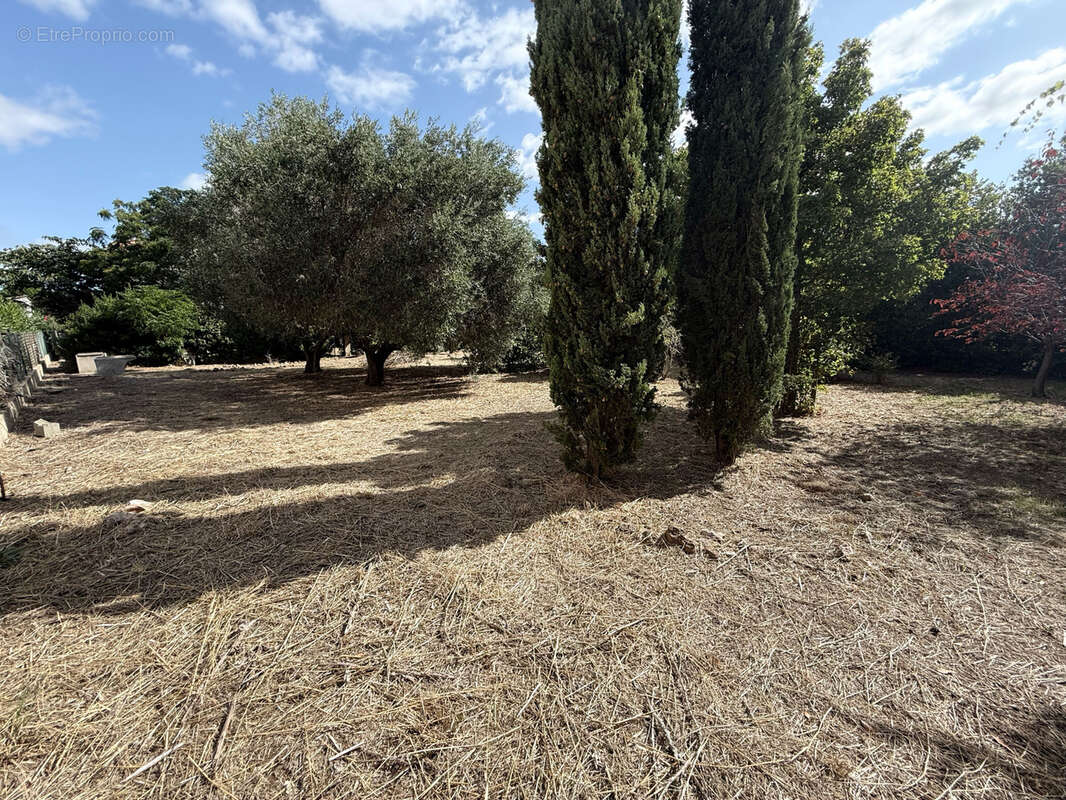 Terrain à NISSAN-LEZ-ENSERUNE