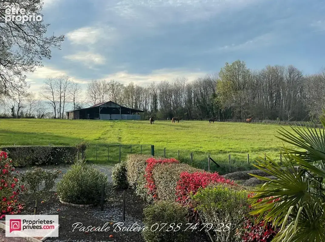 Charmante maison sur sous-sol avec terrain de 16 612 m² (possibilité jusqu'à 7 ha)- MOULIHERNE (49390) - photo 2