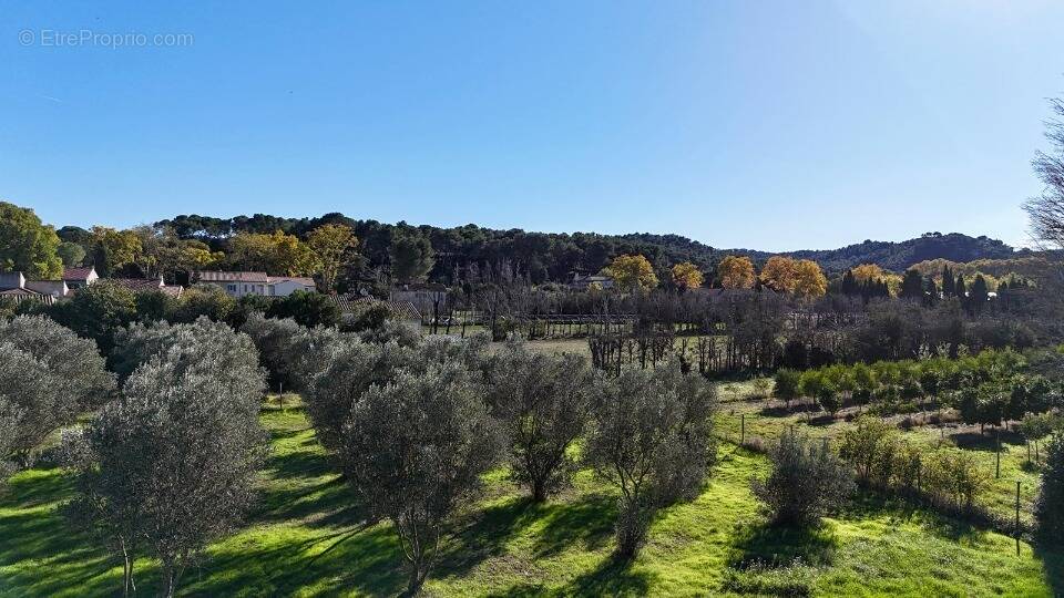 Terrain à MAS-BLANC-DES-ALPILLES