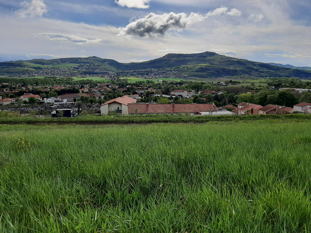 Terrain à LES MARTRES-DE-VEYRE