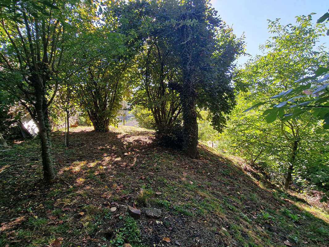 Maison sur deux niveaux avec terrain de 1 500 m² et garages - photo 12