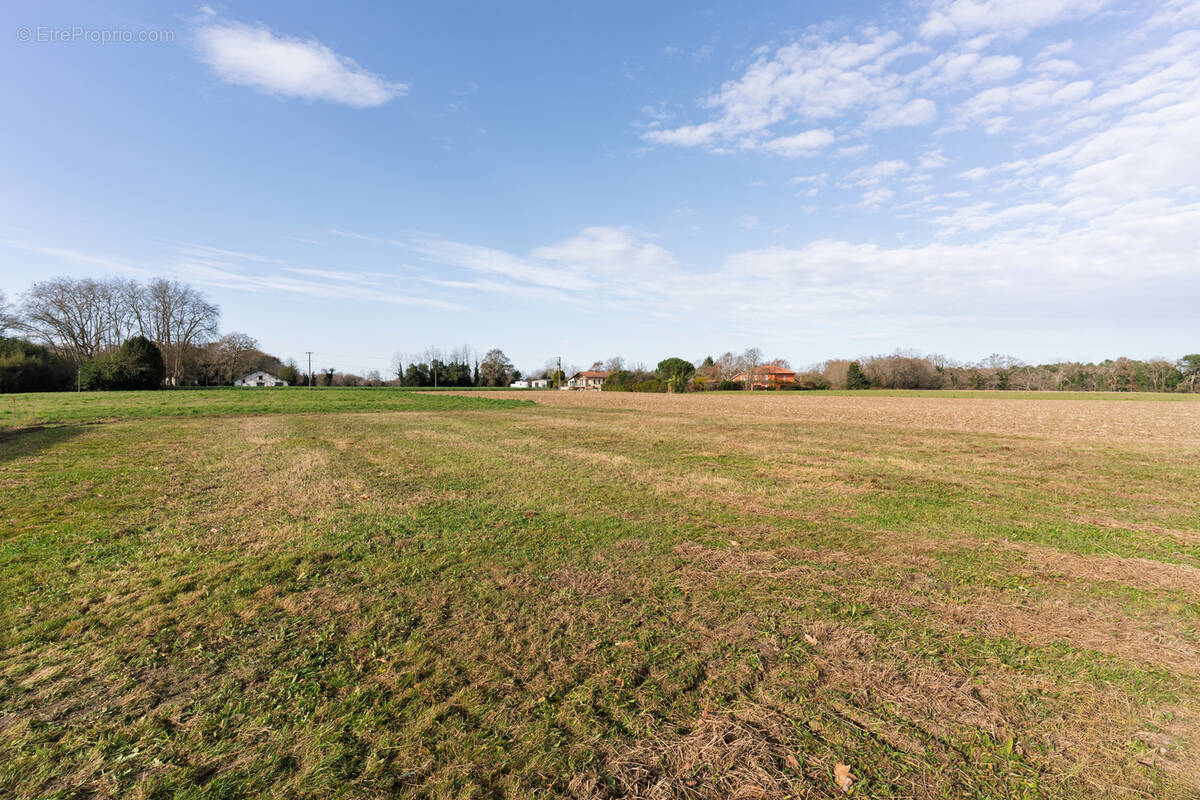 Terrain à SAINT-MARTIN-DE-HINX
