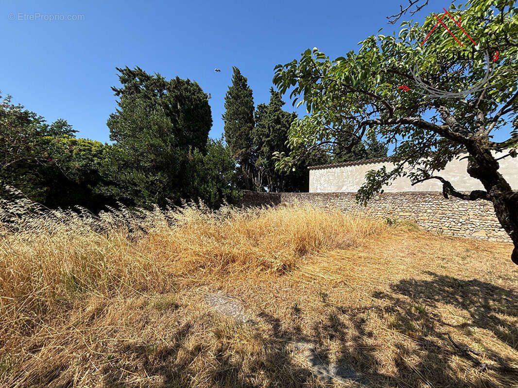 Maison à SAINTE-CECILE-LES-VIGNES