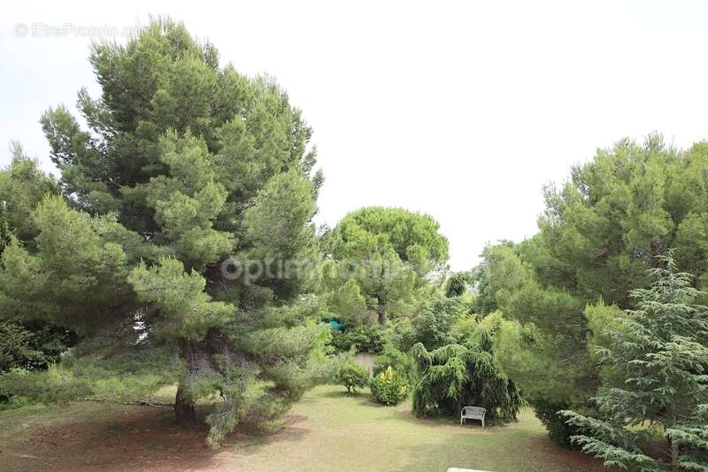 Propriete a vendre proche de l'etang de thau - photo 17
