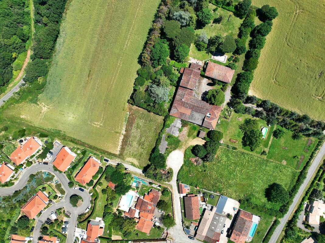 Terrain 885 m² à Montbrun-Lauragais  - photo 2
