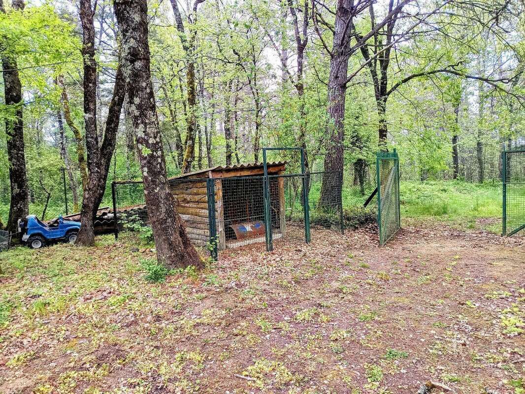 Maison 249 M2 sur terrain 3 hectares - photo 13