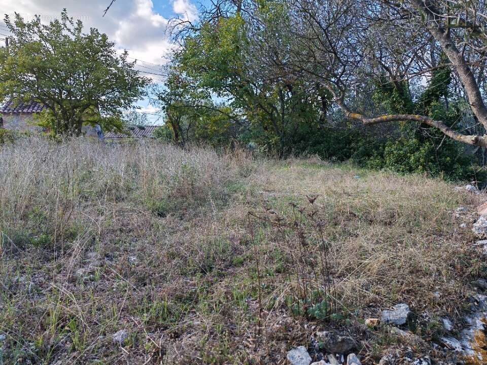 Terrain à CARNOULES