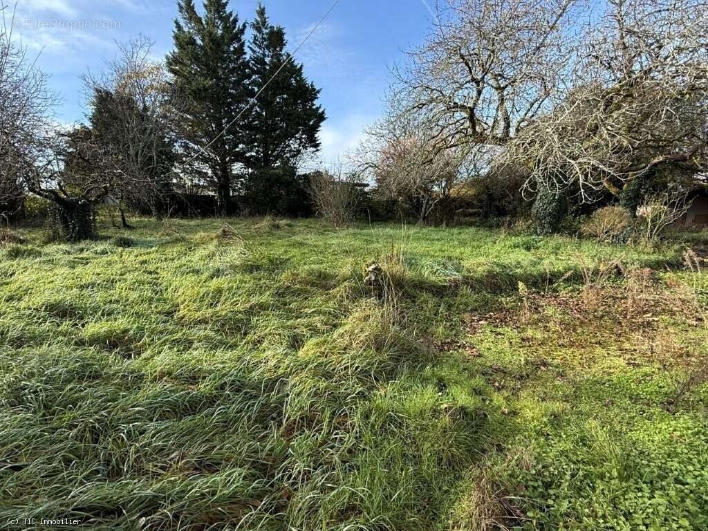 Maison à VERTEUIL-SUR-CHARENTE