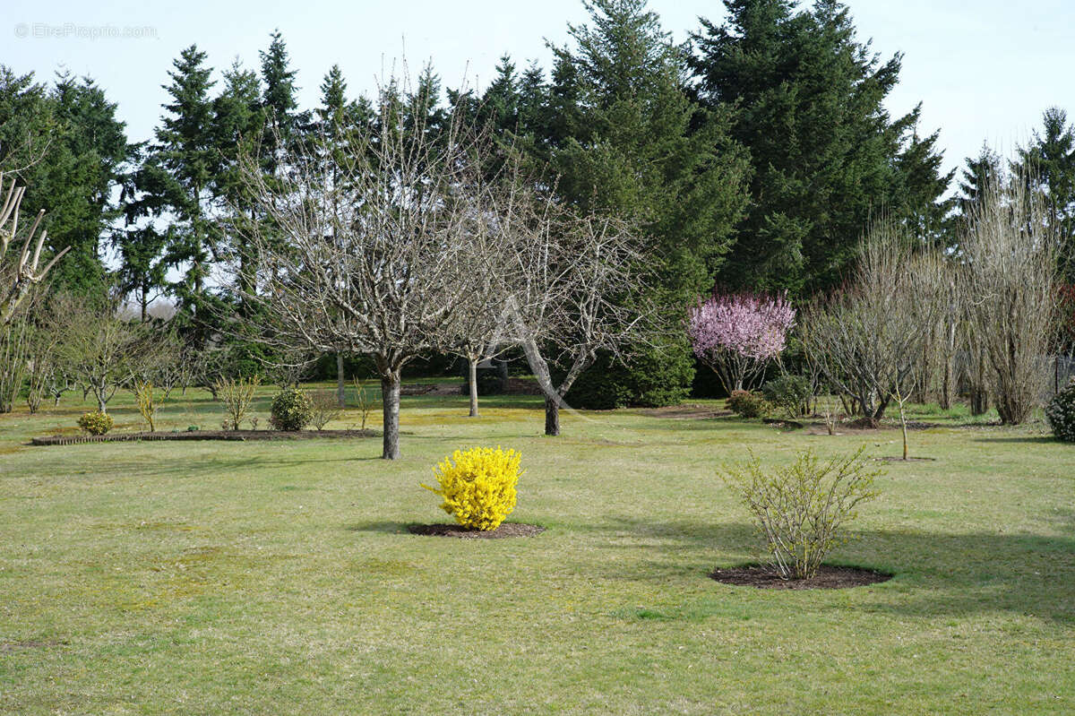 Maison à SAINT-DENIS-DE-L&#039;HOTEL