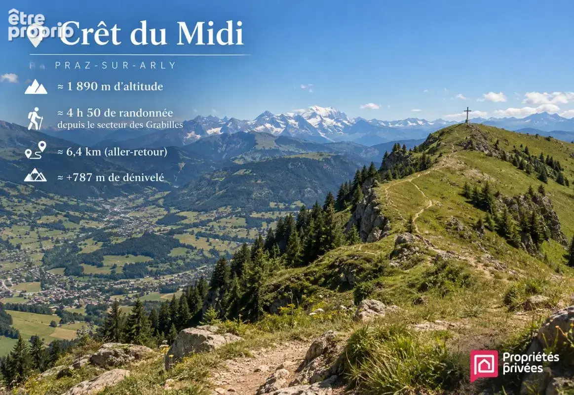Terrain Praz Sur Arly 888 m2 - photo 5