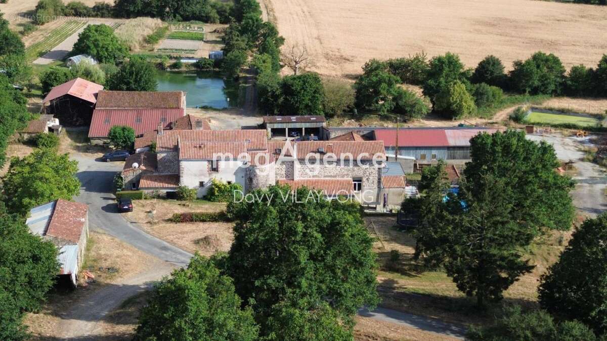 Domaine rare - photo 8