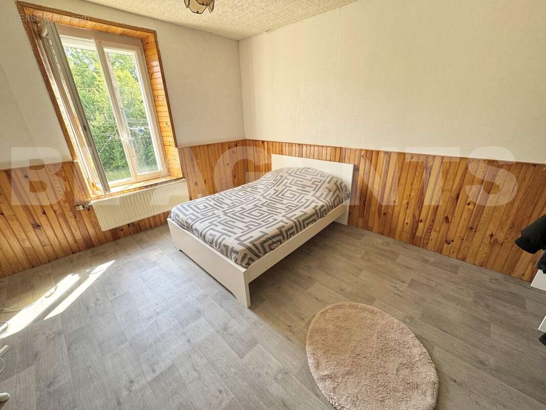 074BD37D-4C7D-40DE-9A67-BBD7098B32E8_1_201_a - Maison à VILLERS-SEMEUSE