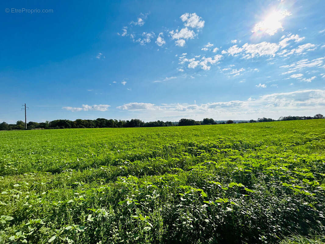 Terrain à LA FERTE-SOUS-JOUARRE